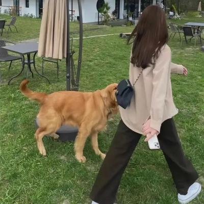 请问总统先生